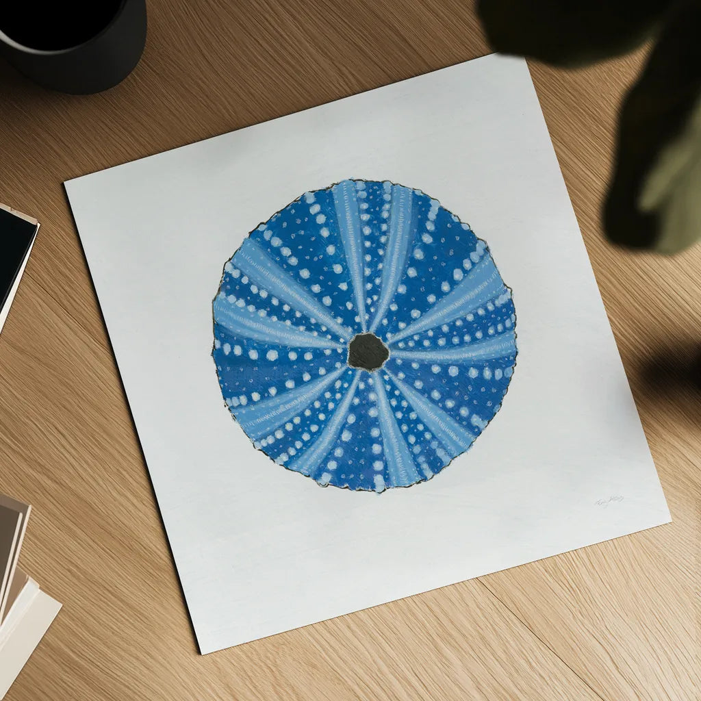 Navy Circular Shell by Emily Adams. Shown as a detailed flat fine art print, highlighting archival giclee quality. Available as an archival giclee rolled canvas, fine art paper, or poster print. SKU 23465a.