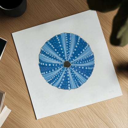 Navy Circular Shell by Emily Adams. Shown as a detailed flat fine art print, highlighting archival giclee quality. Available as an archival giclee rolled canvas, fine art paper, or poster print. SKU 23465a.