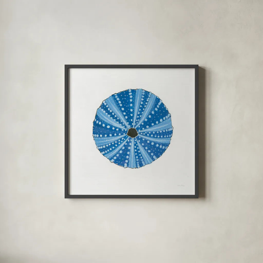 Navy Circular Shell by Emily Adams. Shown in a sleek black glass frame for a contemporary gallery look. Available as an archival giclee rolled canvas, fine art paper, or poster print. SKU 23465a.