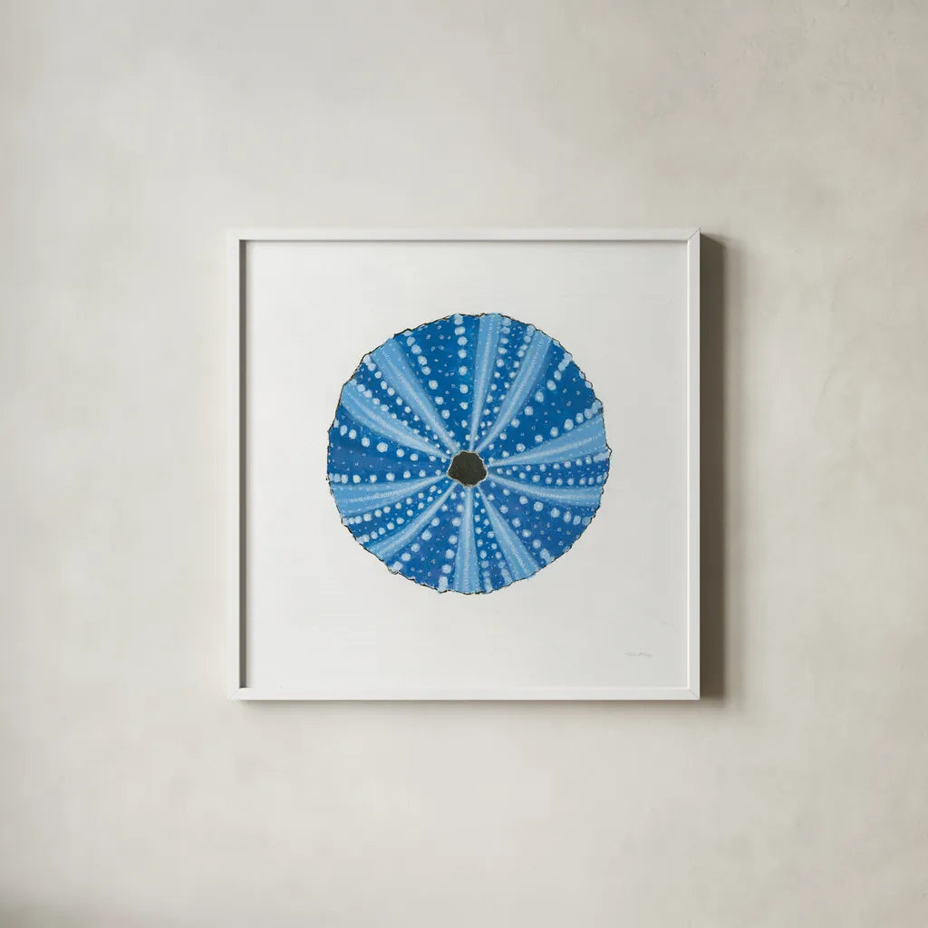 Navy Circular Shell by Emily Adams. Shown in a crisp white glass frame for a clean and minimalist style. Available as an archival giclee rolled canvas, fine art paper, or poster print. SKU 23465a.