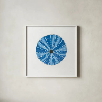 Navy Circular Shell by Emily Adams. Shown in a crisp white glass frame for a clean and minimalist style. Available as an archival giclee rolled canvas, fine art paper, or poster print. SKU 23465a.