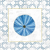 Navy Circular Shell on Newsprint with Gold by Emily Adams. SKU 23562a. Archival Giclee Fine art print for wall decor.