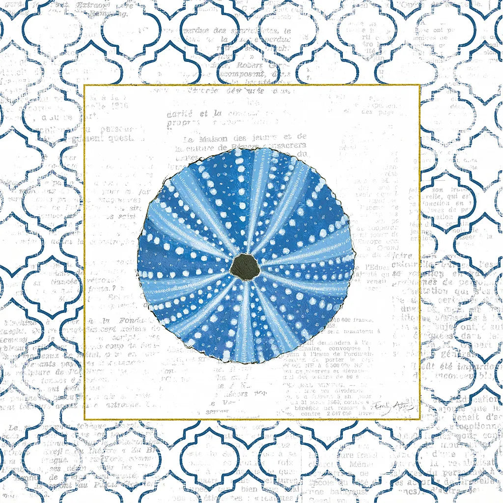 Navy Circular Shell on Newsprint with Gold by Emily Adams. SKU 23562a. Archival Giclee Fine art print for wall decor.