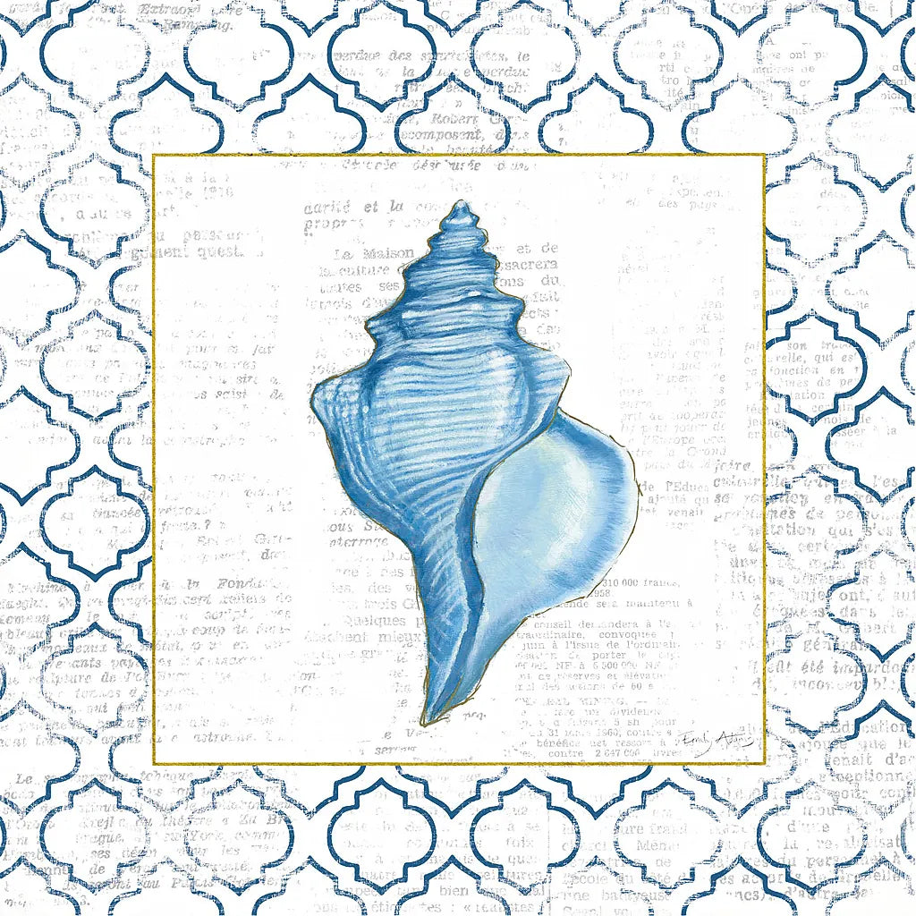 Navy Conch Shell on Newsprint with Gold by Emily Adams. SKU 23558a. Archival Giclee Fine art print for wall decor.