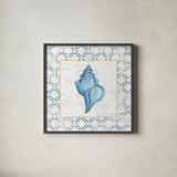 Navy Conch Shell on Newsprint with Gold by Emily Adams. Shown in a sleek black glass frame for a contemporary gallery look. Available as an archival giclee rolled canvas, fine art paper, or poster print. SKU 23558a.