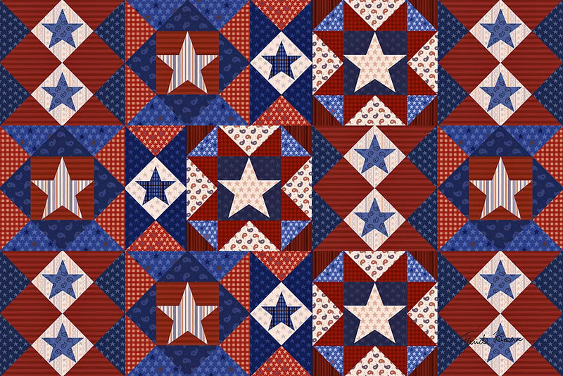 America the Beautiful VIII by Farida Zaman. SKU 47542i. Archival Giclee Fine art print for wall decor.