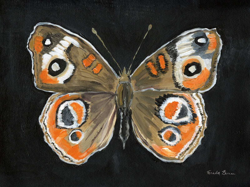 Bold Butterfly I by Farida Zaman
