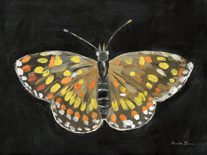 Bold Butterfly II by Farida Zaman