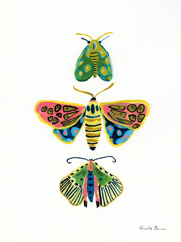 Bright Moths II by Farida Zaman