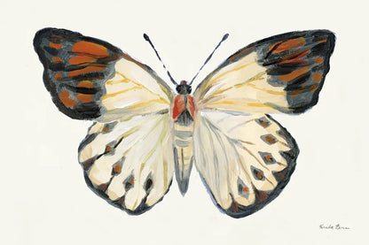 Butterfly Study I by Farida Zaman. SKU 74460i. Archival Giclee Fine art print for wall decor.