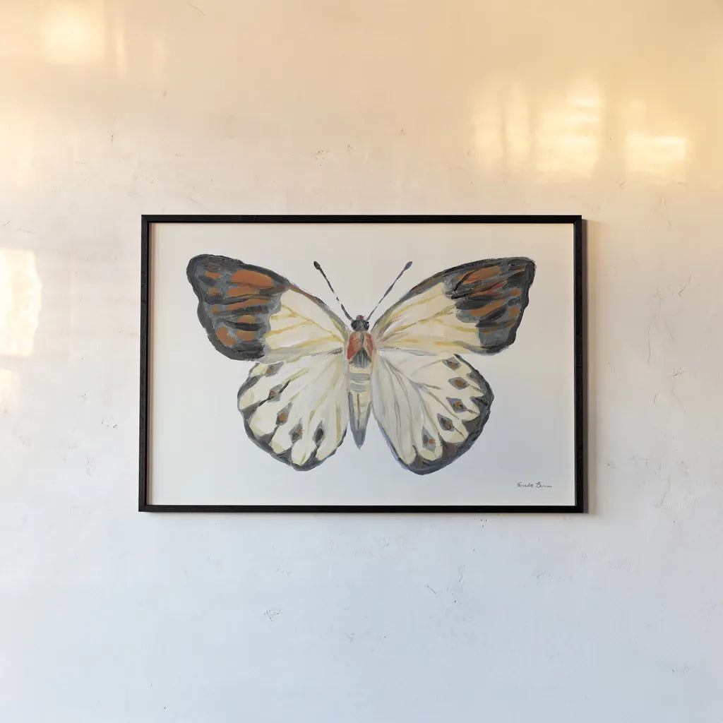 Butterfly Study I by Farida Zaman. shown as a paper print in a black flame. Available as a archival giclee rolled canvas, fine art paper, or poster print. SKU 74460i.