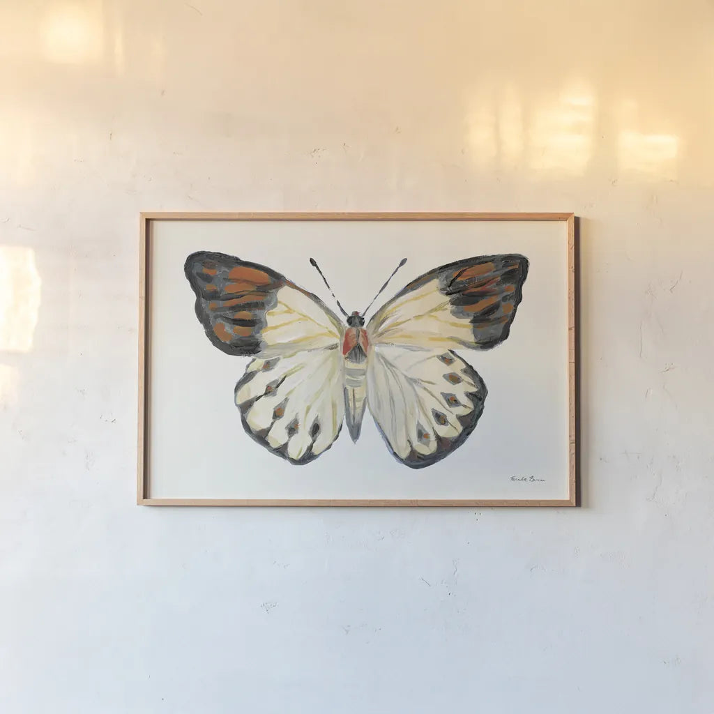 Butterfly Study I by Farida Zaman. shown as a paper print in a natural frame. Available as a archival giclee rolled canvas, fine art paper, or poster print. SKU 74460i.