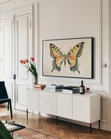 Butterfly Study II by Farida Zaman. shown as a framed stretched canvas in a living room above a console. Available as a archival giclee rolled canvas, fine art paper, or poster print. SKU 74461i.