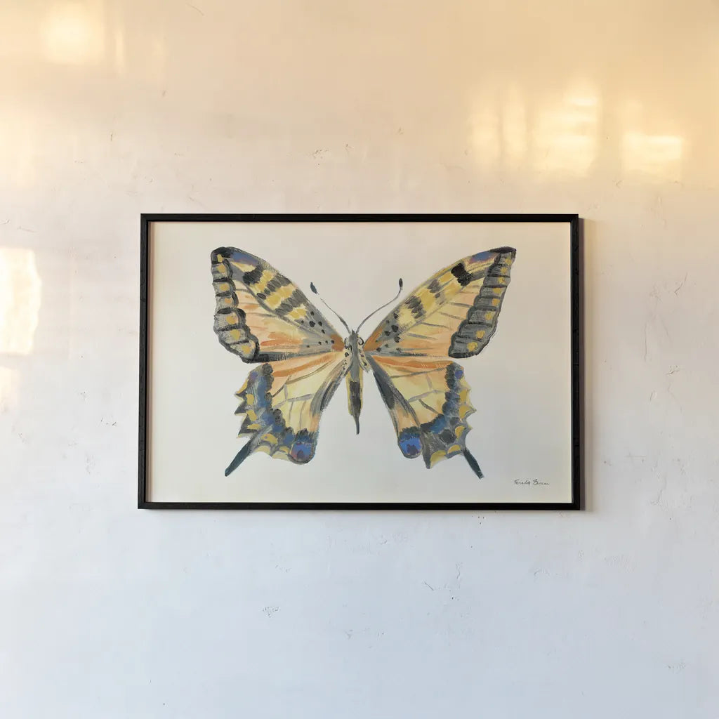 Butterfly Study II by Farida Zaman. shown as a paper print in a black flame. Available as a archival giclee rolled canvas, fine art paper, or poster print. SKU 74461i.