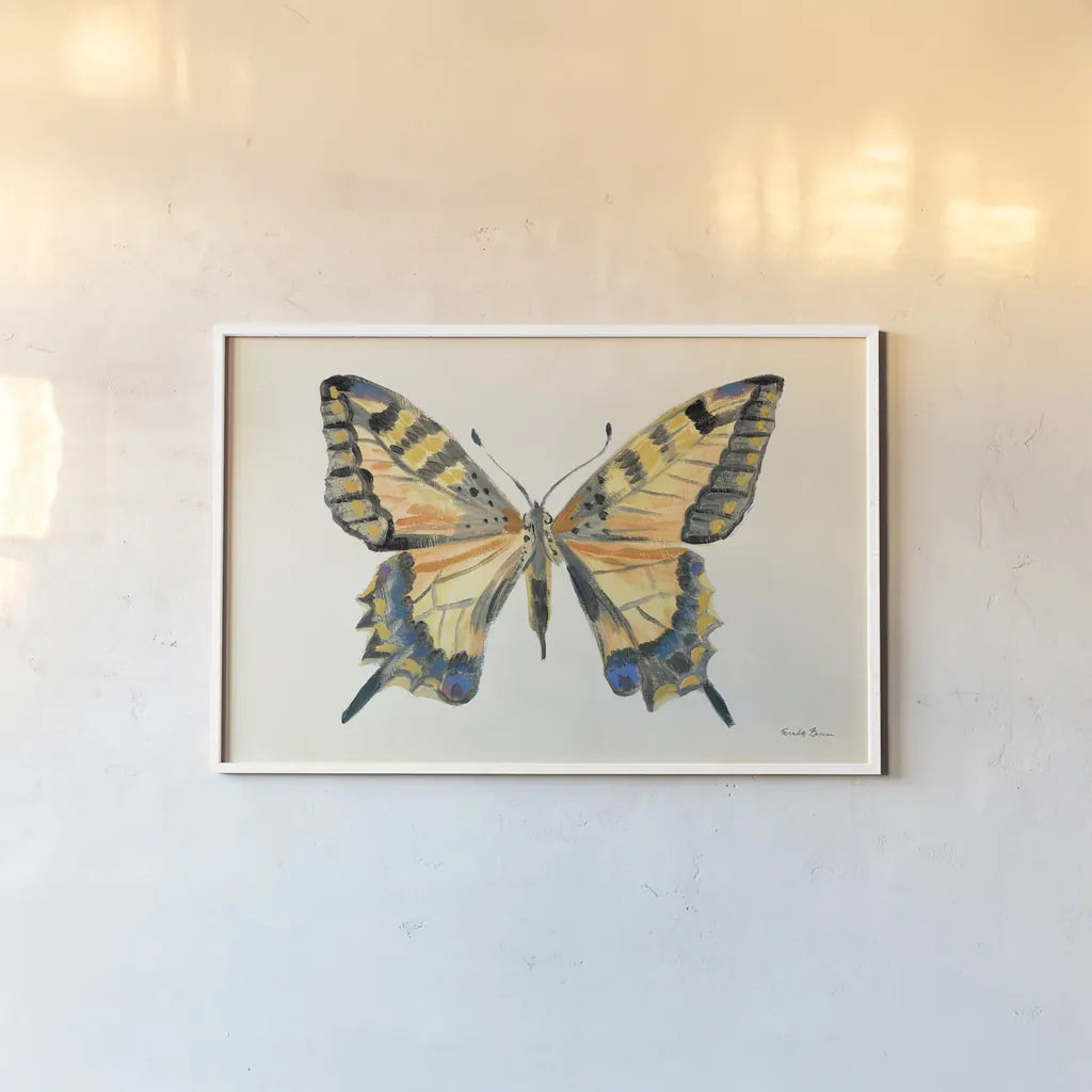 Butterfly Study II by Farida Zaman. shown as a paper print in a white frame. Available as a archival giclee rolled canvas, fine art paper, or poster print. SKU 74461i.