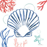 Coastal Jewels III Coral Cove by Farida Zaman. SKU 55925a. Archival Giclee Fine art print for wall decor.