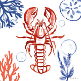 Coastal Jewels VI by Farida Zaman. SKU 35784a. Archival Giclee Fine art print for wall decor.