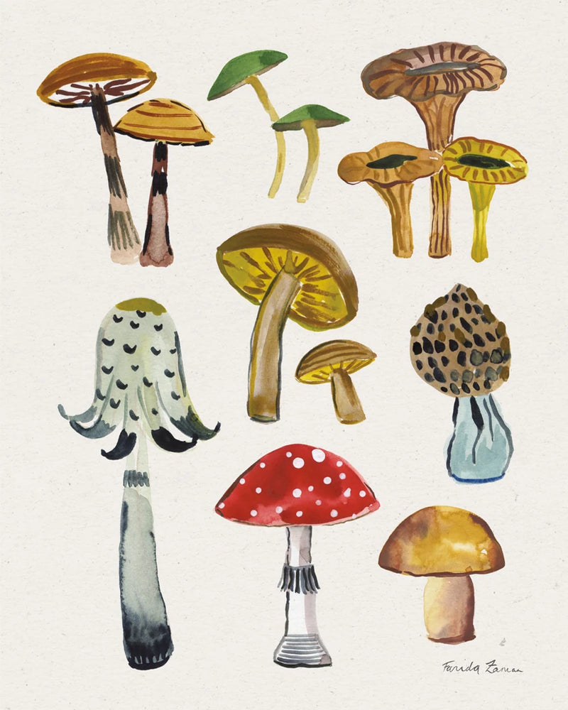Forest Mushrooms II by Farida Zaman