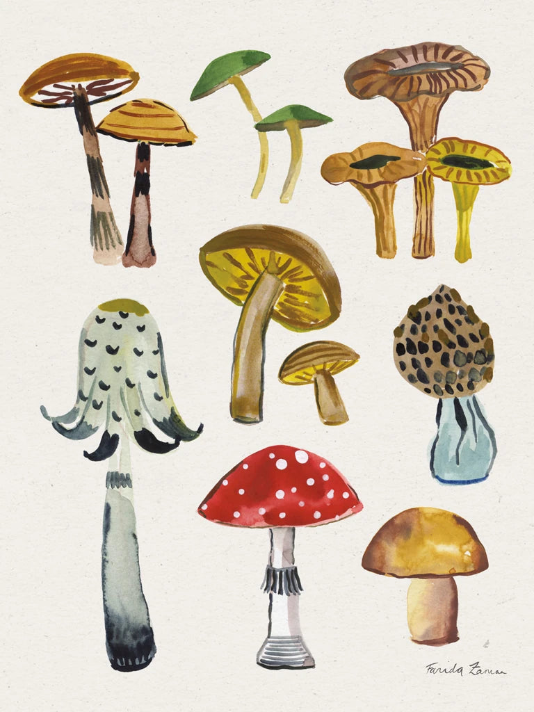 Forest Mushrooms II Crop by Farida Zaman
