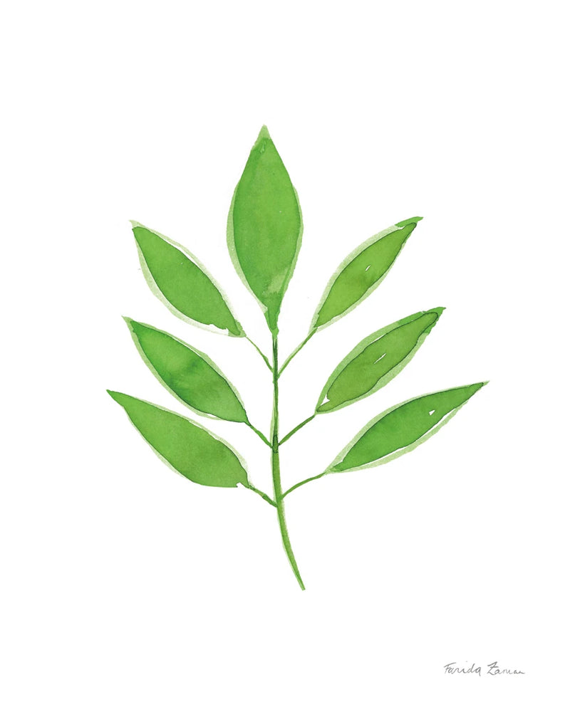 Fresh and Green VI by Farida Zaman