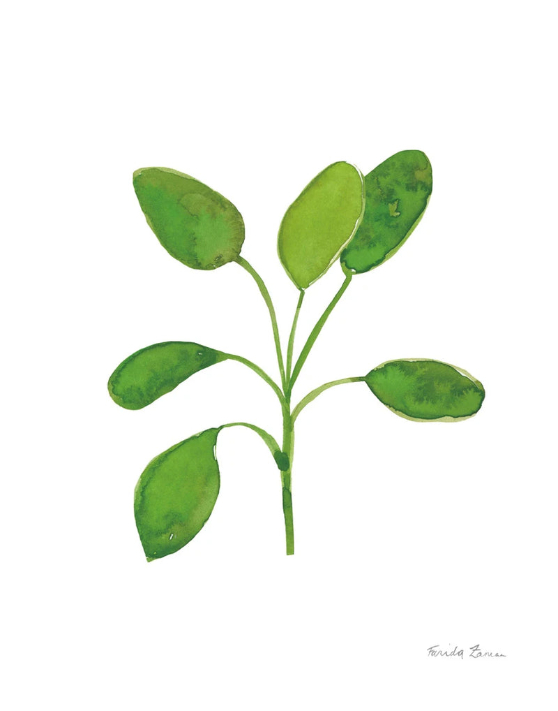 Fresh and Green VII by Farida Zaman