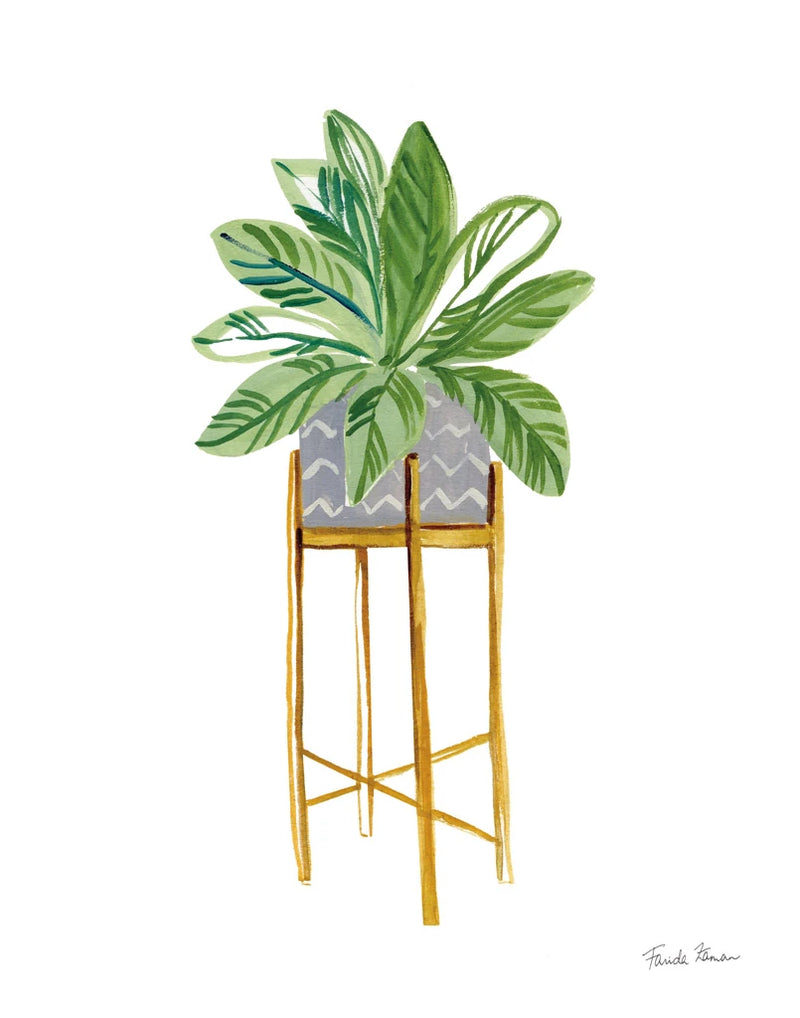 Green House Plants I by Farida Zaman