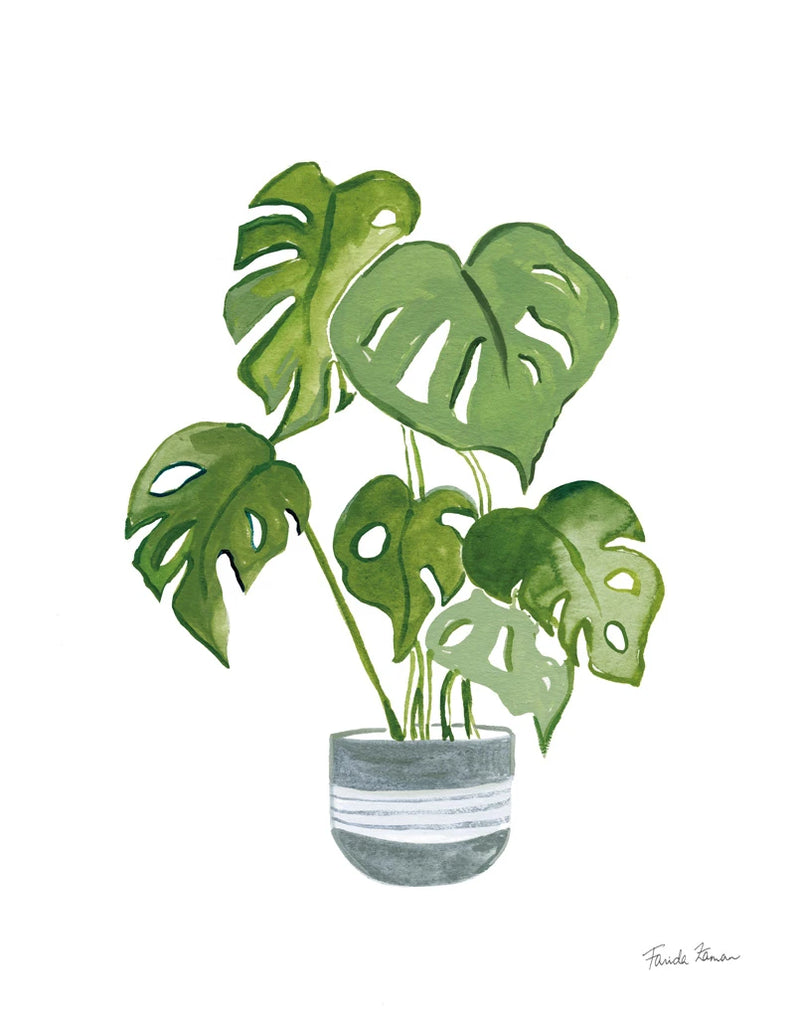 Green House Plants II by Farida Zaman