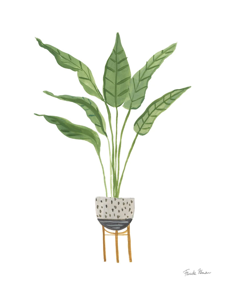 Green House Plants III by Farida Zaman