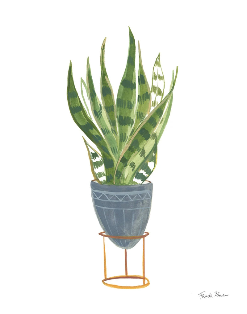 Green House Plants IV by Farida Zaman