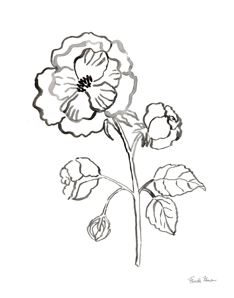 Joyful Peonies II by Farida Zaman