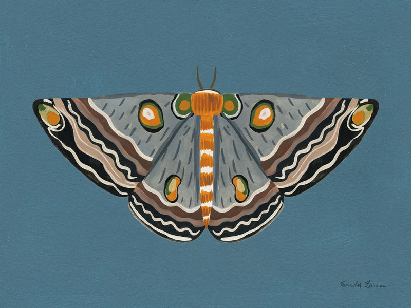 Moth I by Farida Zaman