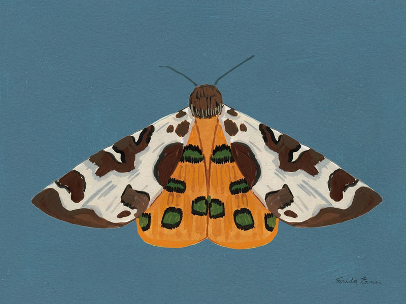 Moth II by Farida Zaman