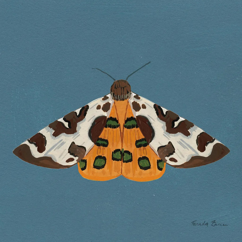 Moth II Sq by Farida Zaman. SKU 86557a. Archival Giclee Fine art print for wall decor.