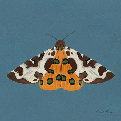 Moth II Sq by Farida Zaman. SKU 86557a. Archival Giclee Fine art print for wall decor.