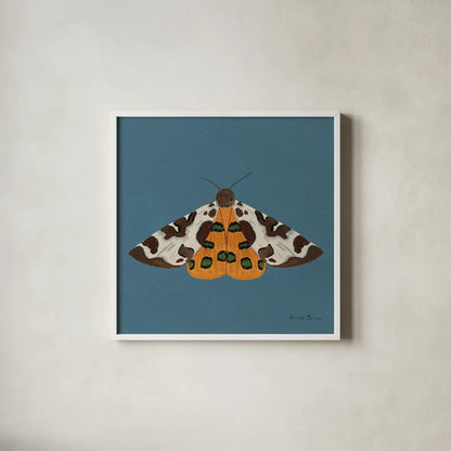 Moth II Sq by Farida Zaman. Shown in a crisp white glass frame for a clean and minimalist style. Available as an archival giclee rolled canvas, fine art paper, or poster print. SKU 86557a.