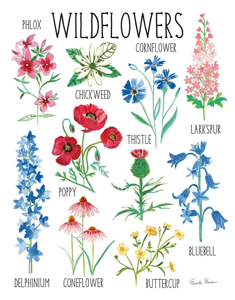 Nature Chart I by Farida Zaman