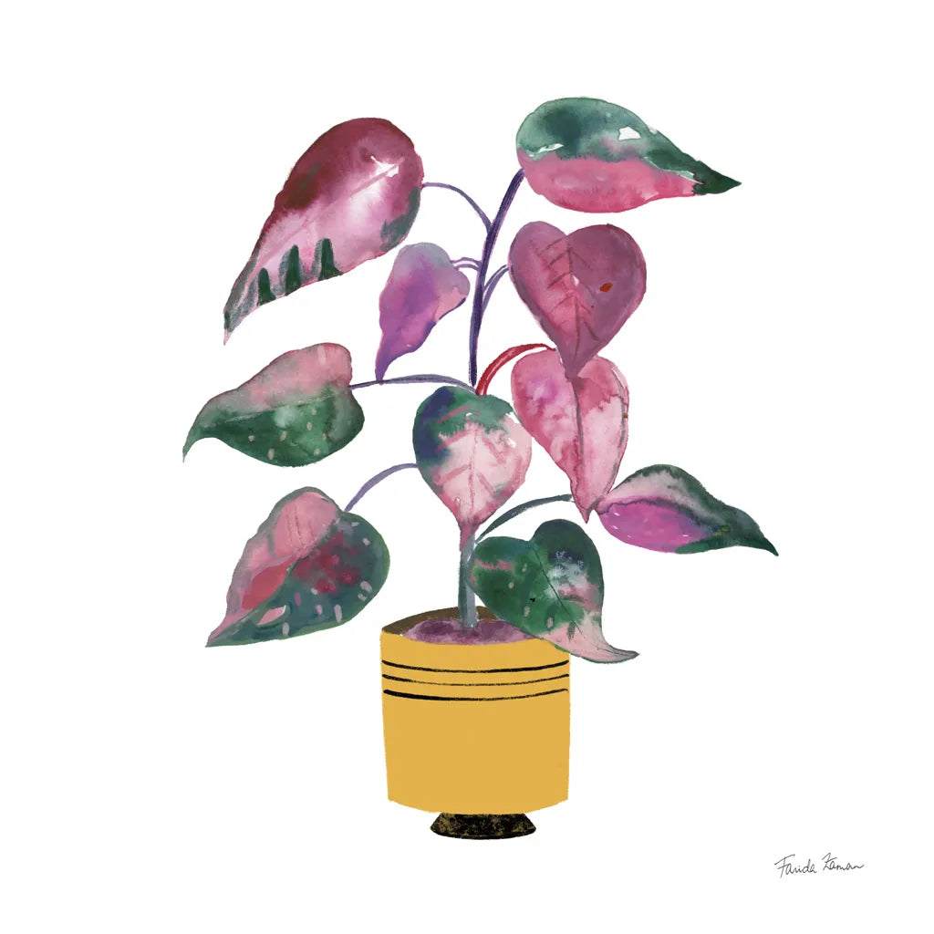 Potted Jewels II by Farida Zaman. SKU 67558a. Archival Giclee Fine art print for wall decor.