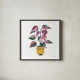 Potted Jewels II by Farida Zaman. Shown in a sleek black glass frame for a contemporary gallery look. Available as an archival giclee rolled canvas, fine art paper, or poster print. SKU 67558a.