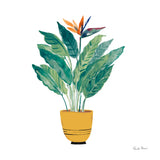 Potted Jewels III by Farida Zaman. SKU 71511a. Archival Giclee Fine art print for wall decor.