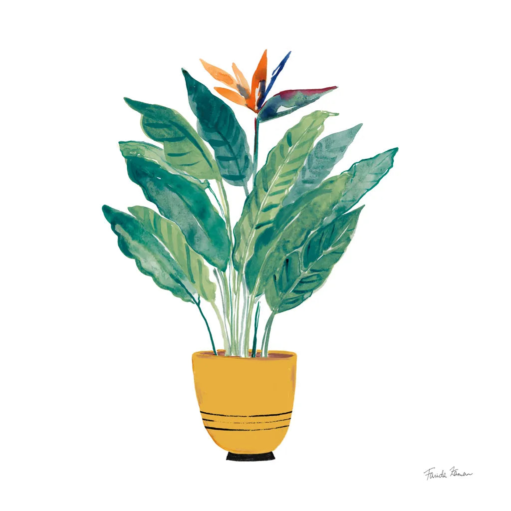 Potted Jewels III by Farida Zaman. SKU 71511a. Archival Giclee Fine art print for wall decor.