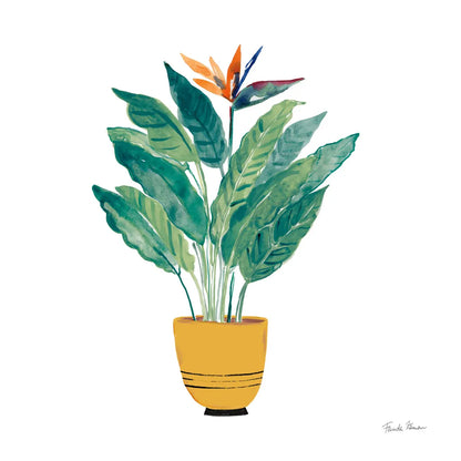 Potted Jewels III by Farida Zaman. SKU 71511a. Archival Giclee Fine art print for wall decor.