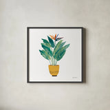Potted Jewels III by Farida Zaman. Shown in a sleek black glass frame for a contemporary gallery look. Available as an archival giclee rolled canvas, fine art paper, or poster print. SKU 71511a.