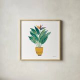 Potted Jewels III by Farida Zaman. Shown in a natural wood glass frame for a timeless modern aesthetic. Available as an archival giclee rolled canvas, fine art paper, or poster print. SKU 71511a.