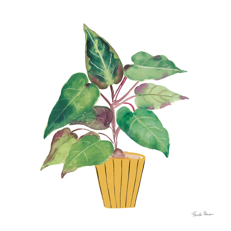 Potted Jewels IV by Farida Zaman. SKU 71512a. Archival Giclee Fine art print for wall decor.