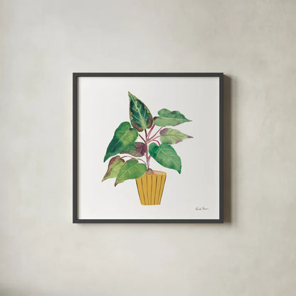Potted Jewels IV by Farida Zaman. Shown in a sleek black glass frame for a contemporary gallery look. Available as an archival giclee rolled canvas, fine art paper, or poster print. SKU 71512a.