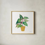 Potted Jewels IV by Farida Zaman. Shown in a natural wood glass frame for a timeless modern aesthetic. Available as an archival giclee rolled canvas, fine art paper, or poster print. SKU 71512a.