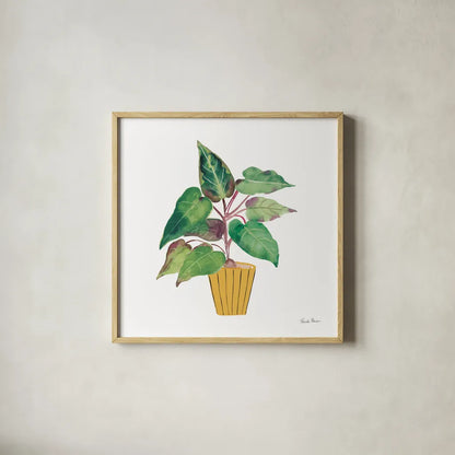 Potted Jewels IV by Farida Zaman. Shown in a natural wood glass frame for a timeless modern aesthetic. Available as an archival giclee rolled canvas, fine art paper, or poster print. SKU 71512a.