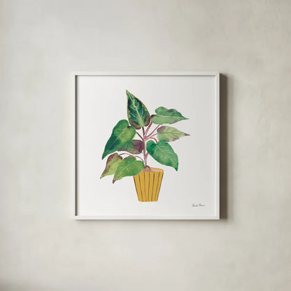Potted Jewels IV by Farida Zaman. Shown in a crisp white glass frame for a clean and minimalist style. Available as an archival giclee rolled canvas, fine art paper, or poster print. SKU 71512a.