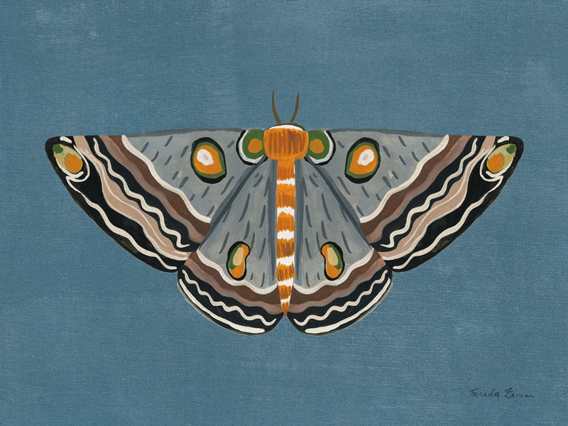 Textured Moth I by Farida Zaman
