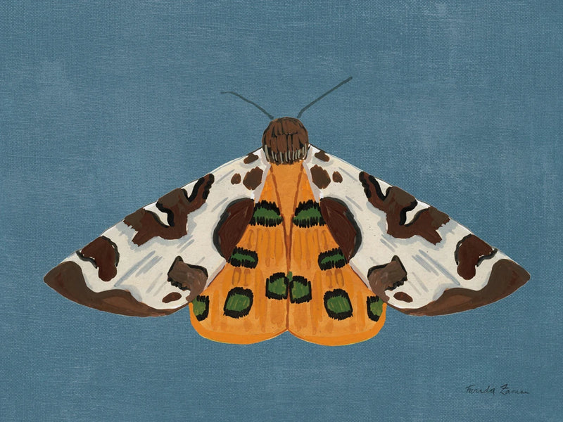 Textured Moth II by Farida Zaman